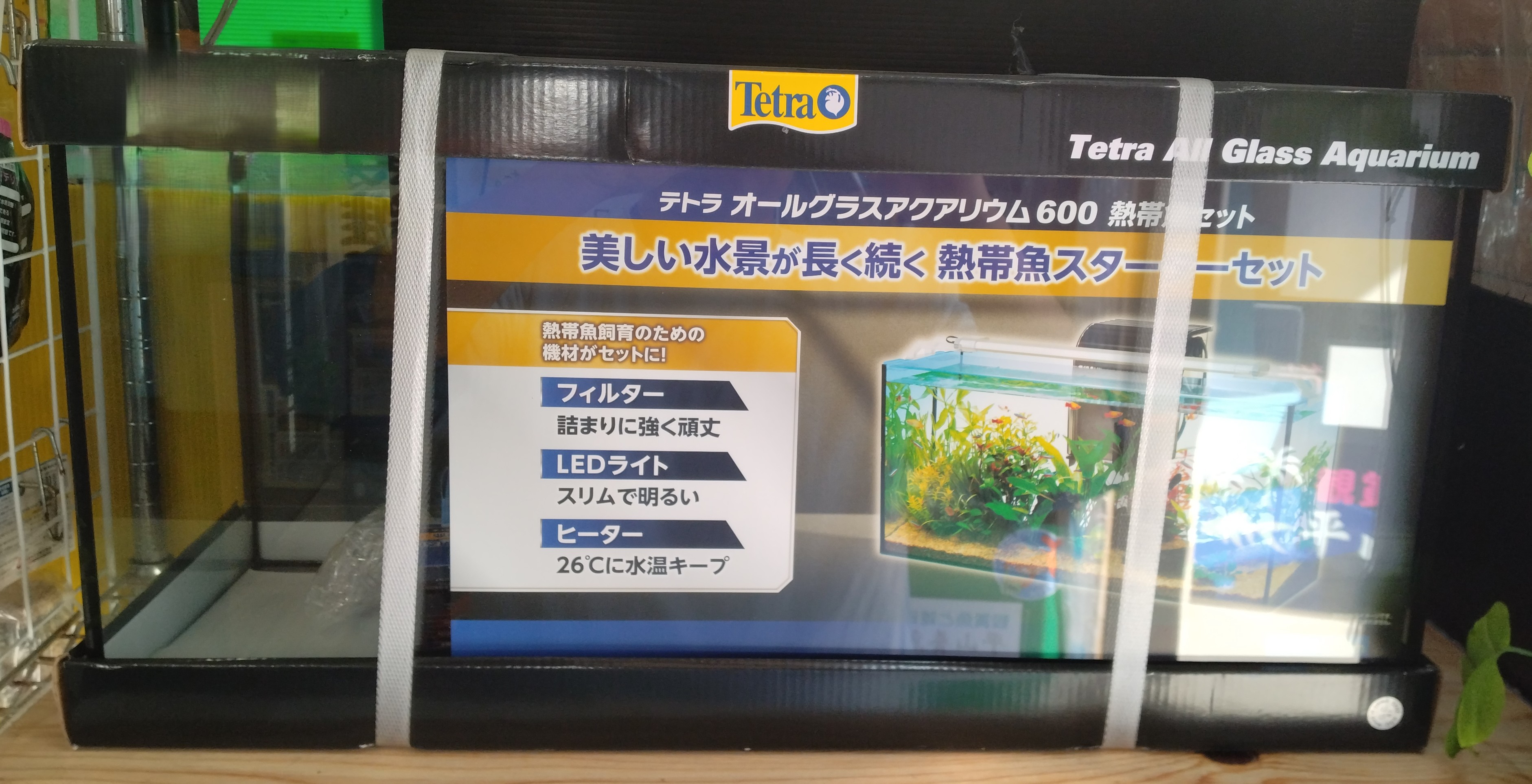 プレミアムメダカ飼育セット